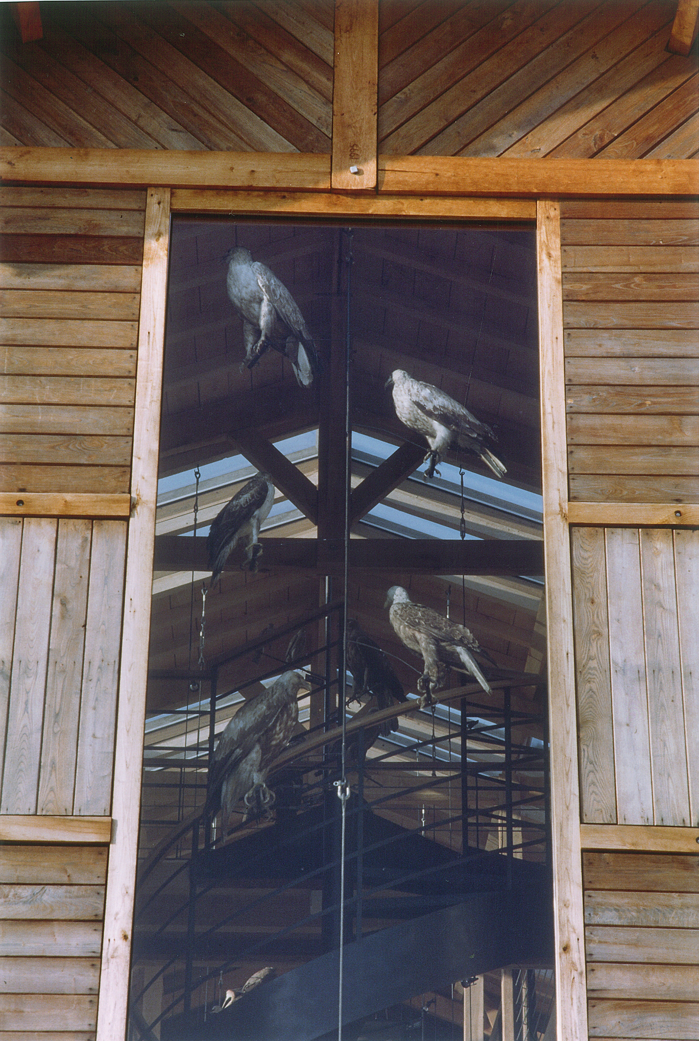 Musée Ornithologique
